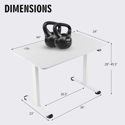 Electric Standing Desk — Adjustable Computer Desk